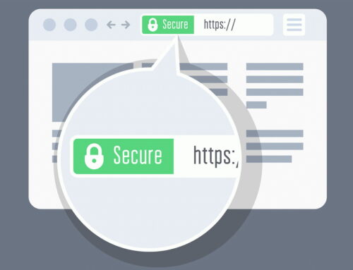 How do I choose the best SSL certificate for my website?